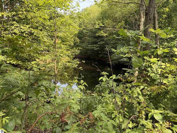 25 Acres of Recreational & Residential Land for Sale in Thompsonville, Michigan
