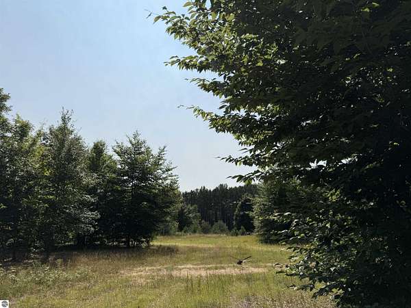 25 Acres of Recreational & Residential Land for Sale in Thompsonville, Michigan