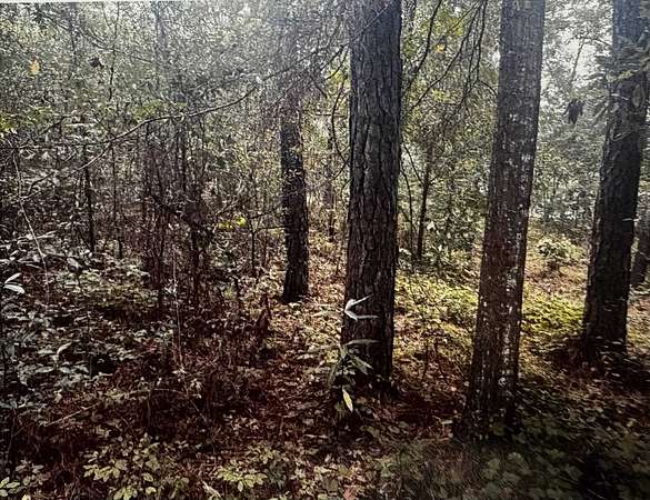 1.1 Acres of Residential Land for Sale in Georgetown, South Carolina
