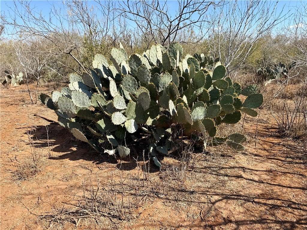 35 Acres of Land for Sale in San Diego, Texas