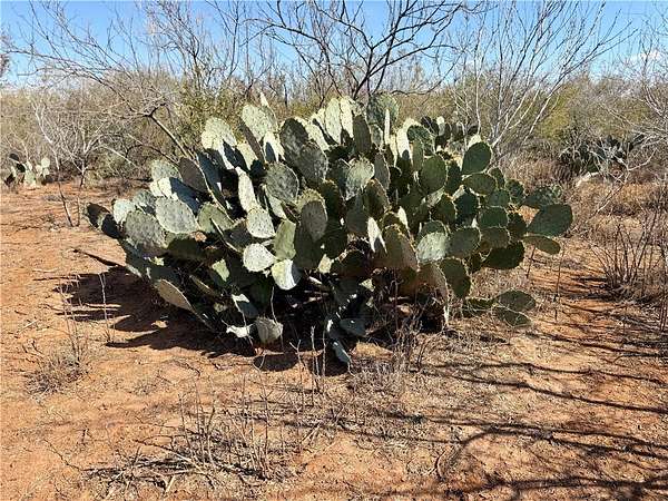 35 Acres of Land for Sale in San Diego, Texas