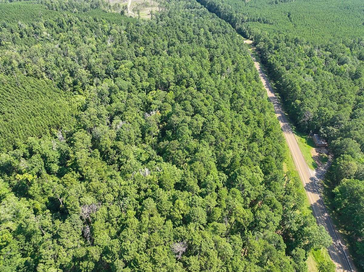 20 Acres of Land for Sale in Milam, Texas