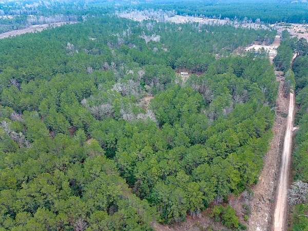31.9 Acres of Recreational Land for Sale in Zavalla, Texas