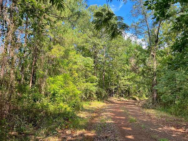 10 Acres of Land for Sale in Geneva, Texas