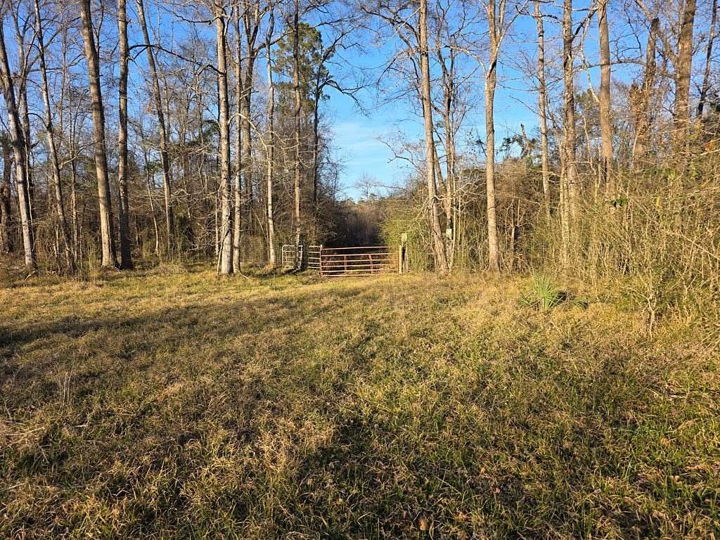 39 Acres of Recreational Land for Sale in Jasper, Texas