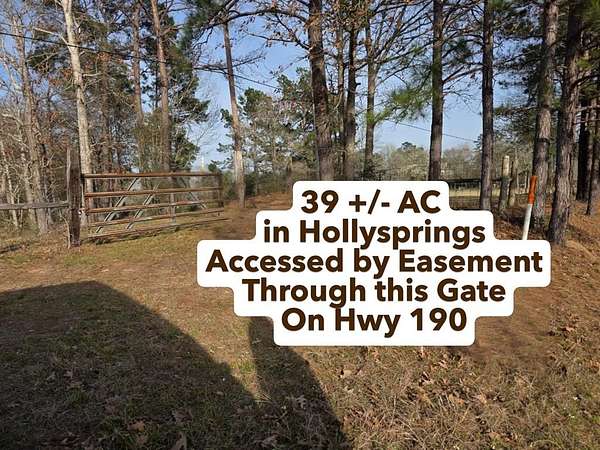 39 Acres of Recreational Land for Sale in Jasper, Texas