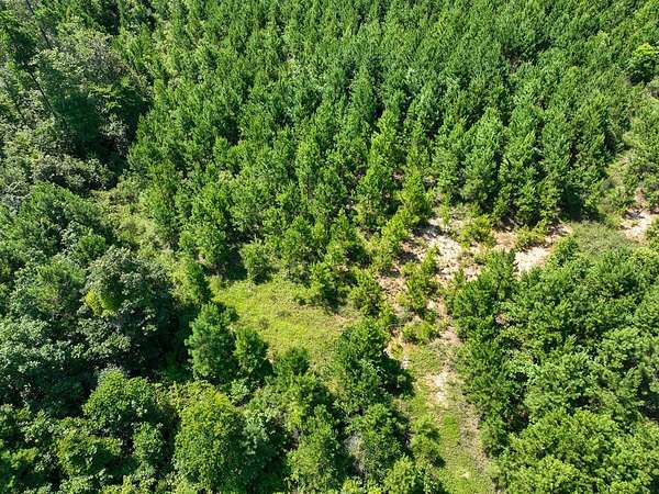35 Acres of Land for Sale in Milam, Texas