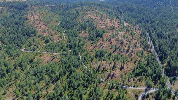 37.8 Acres of Recreational & Residential Land for Sale in Deer Park, Washington