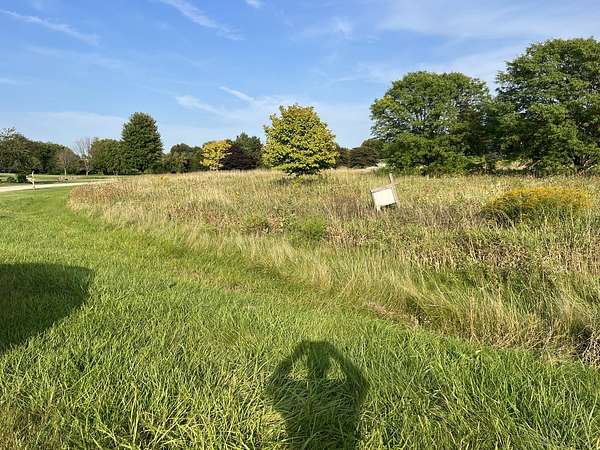 2 Acres of Residential Land for Sale in Hampshire, Illinois