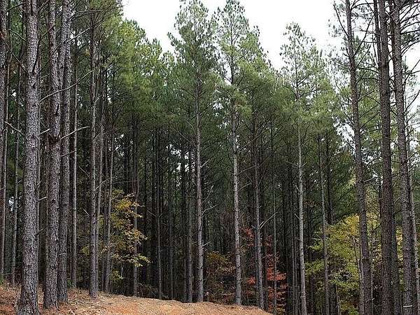 1.27 Acres of Residential Land for Sale in Broken Bow, Oklahoma