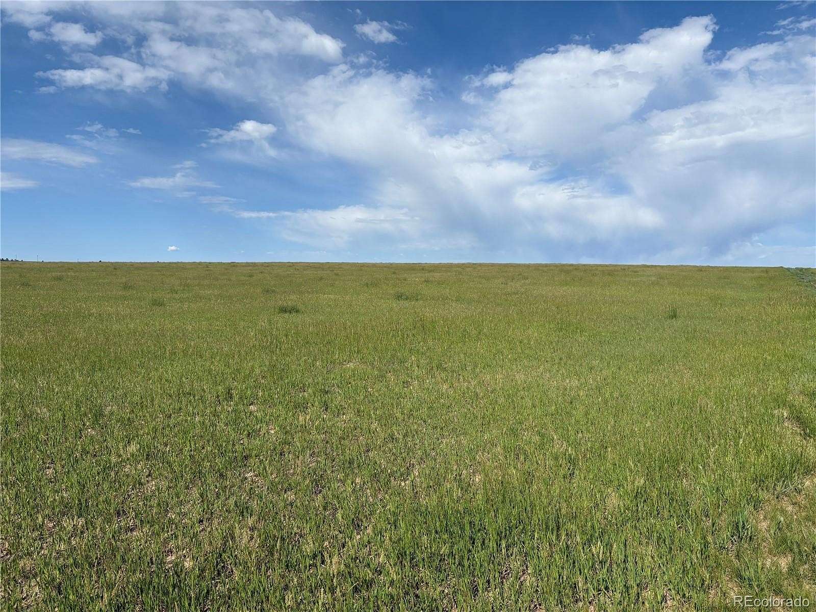 39.2 Acres of Land for Sale in Elbert, Colorado