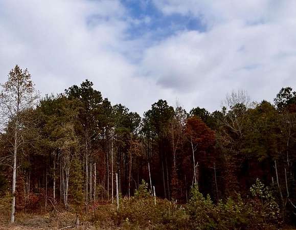 6.43 Acres of Land for Sale in Guntown, Mississippi