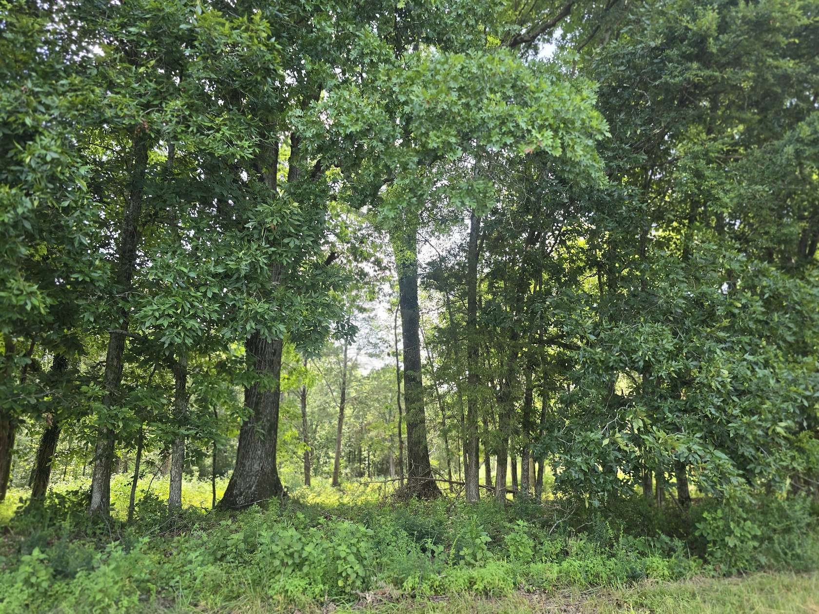 3.65 Acres of Residential Land for Sale in Lewisburg, Tennessee