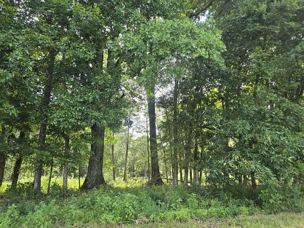 3.65 Acres of Residential Land for Sale in Lewisburg, Tennessee