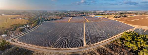 143 Acres of Agricultural Land for Auction in Moultrie, Georgia