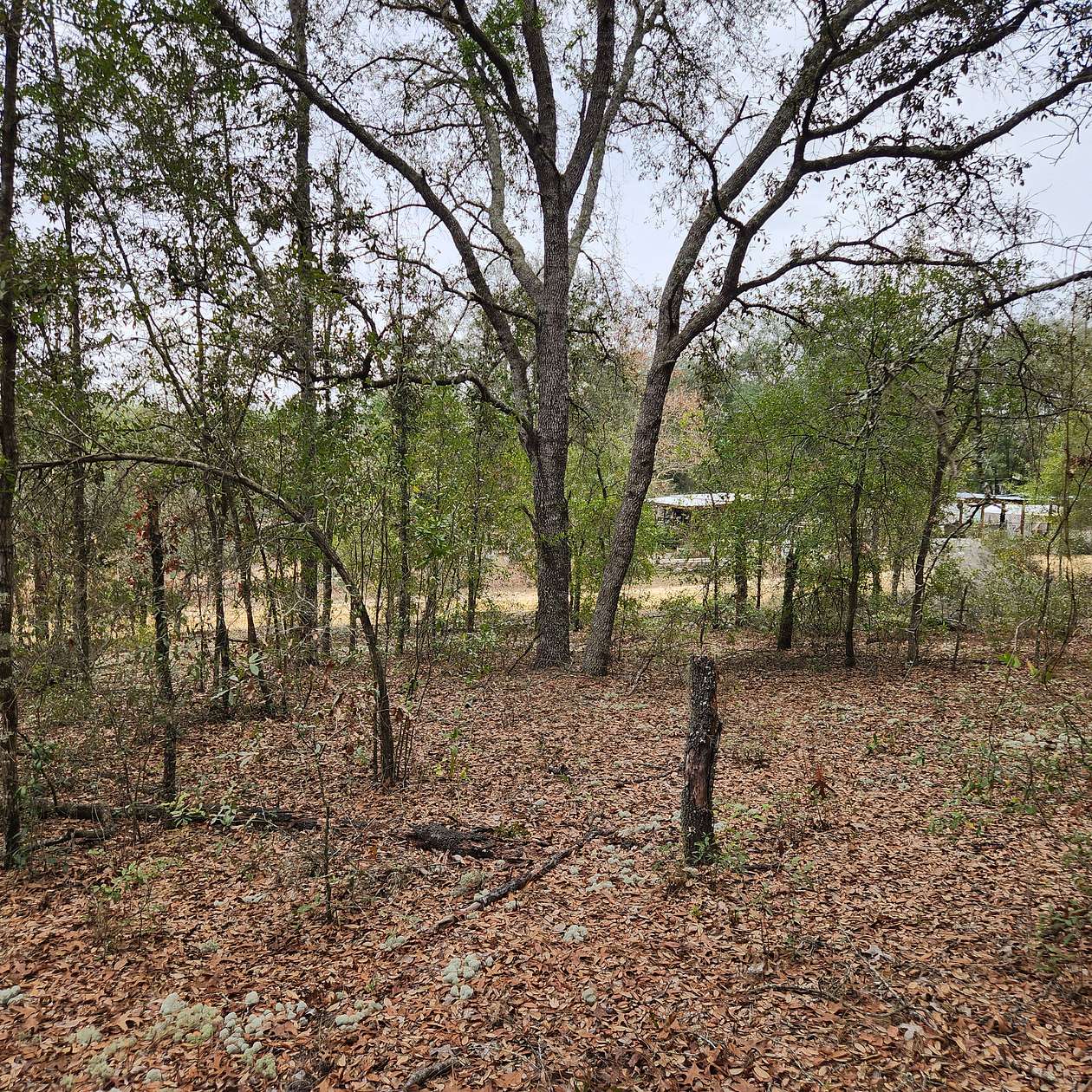 1.3 Acres of Residential Land for Sale in Interlachen, Florida