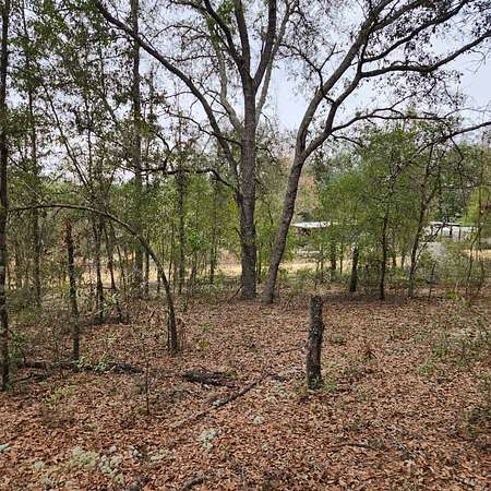 1.3 Acres of Residential Land for Sale in Interlachen, Florida