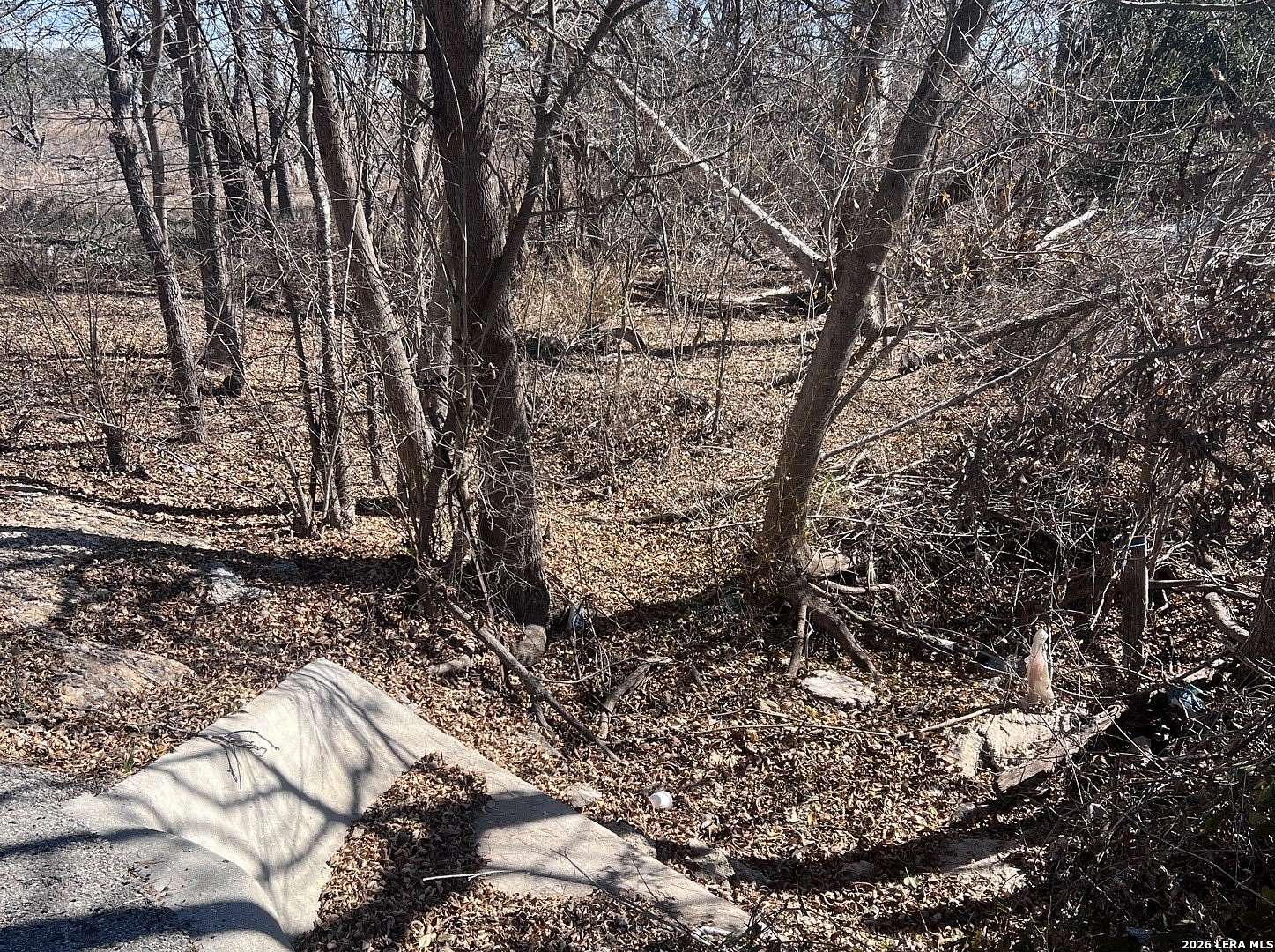 5 Acres of Residential Land for Sale in Atascosa, Texas