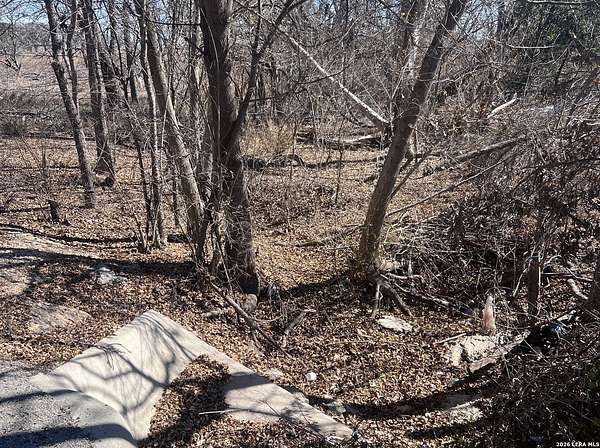 5 Acres of Residential Land for Sale in Atascosa, Texas