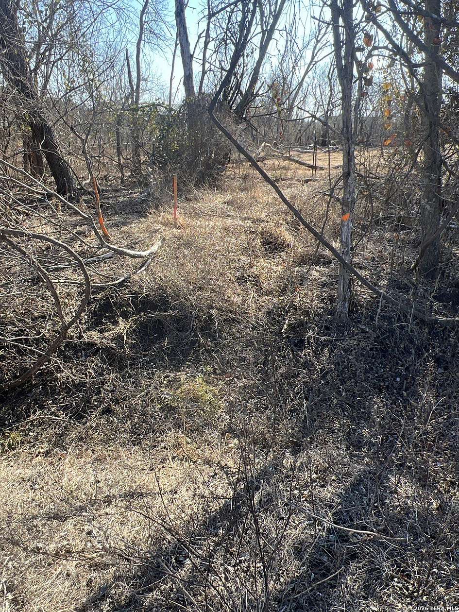 5 Acres of Residential Land for Sale in Atascosa, Texas