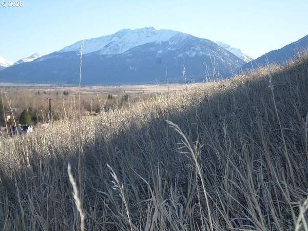 0.36 Acres of Residential Land for Sale in Enterprise, Oregon