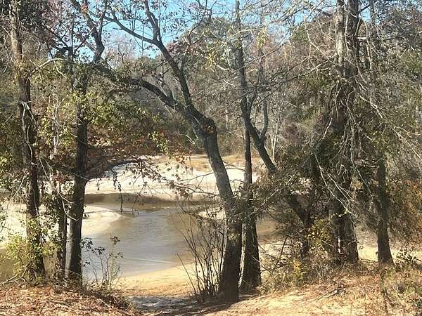 9.59 Acres of Residential Land for Sale in Collins, Georgia