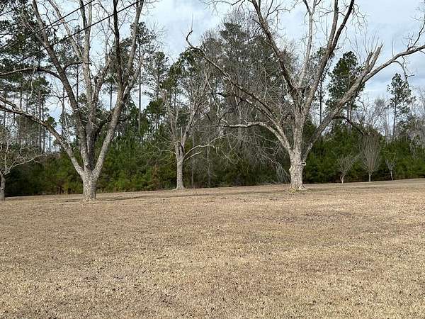 108 Acres of Land for Sale in Vidalia, Georgia