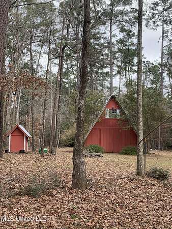 3.17 Acres of Land with Home for Sale in Osyka, Mississippi