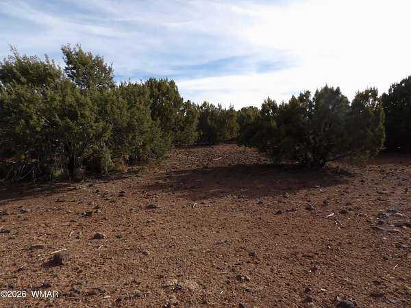 6 Acres of Residential Land for Sale in Concho, Arizona