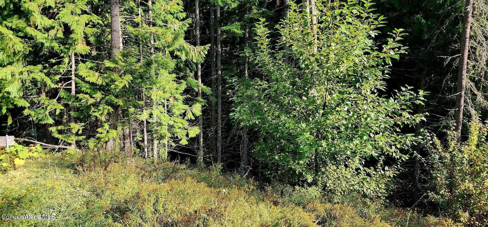 5 Acres of Land for Sale in St. Maries, Idaho