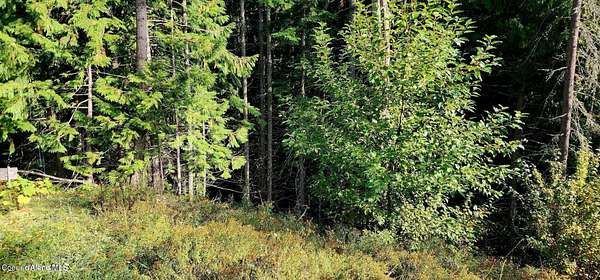 5 Acres of Land for Sale in St. Maries, Idaho