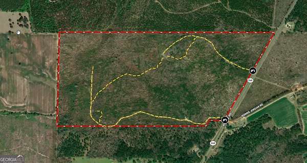 131 Acres of Recreational Land for Sale in Buena Vista, Georgia