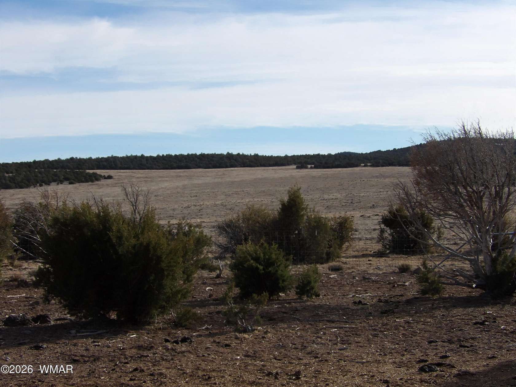 12.7 Acres of Recreational & Residential Land for Sale in Concho, Arizona