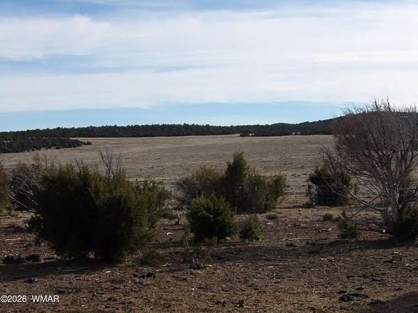 12.7 Acres of Recreational & Residential Land for Sale in Concho, Arizona