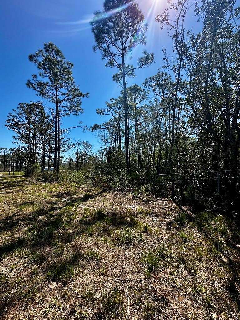 2.79 Acres of Land for Sale in Steinhatchee, Florida