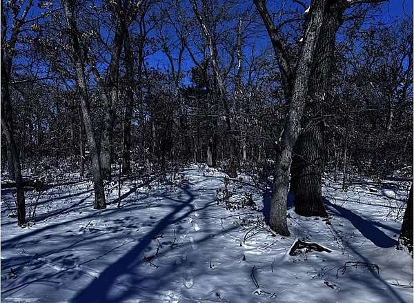 2.5 Acres of Residential Land for Sale in Lyndon Station, Wisconsin