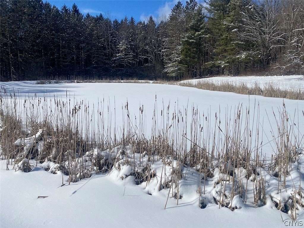 20.6 Acres of Land for Sale in Belfast, New York