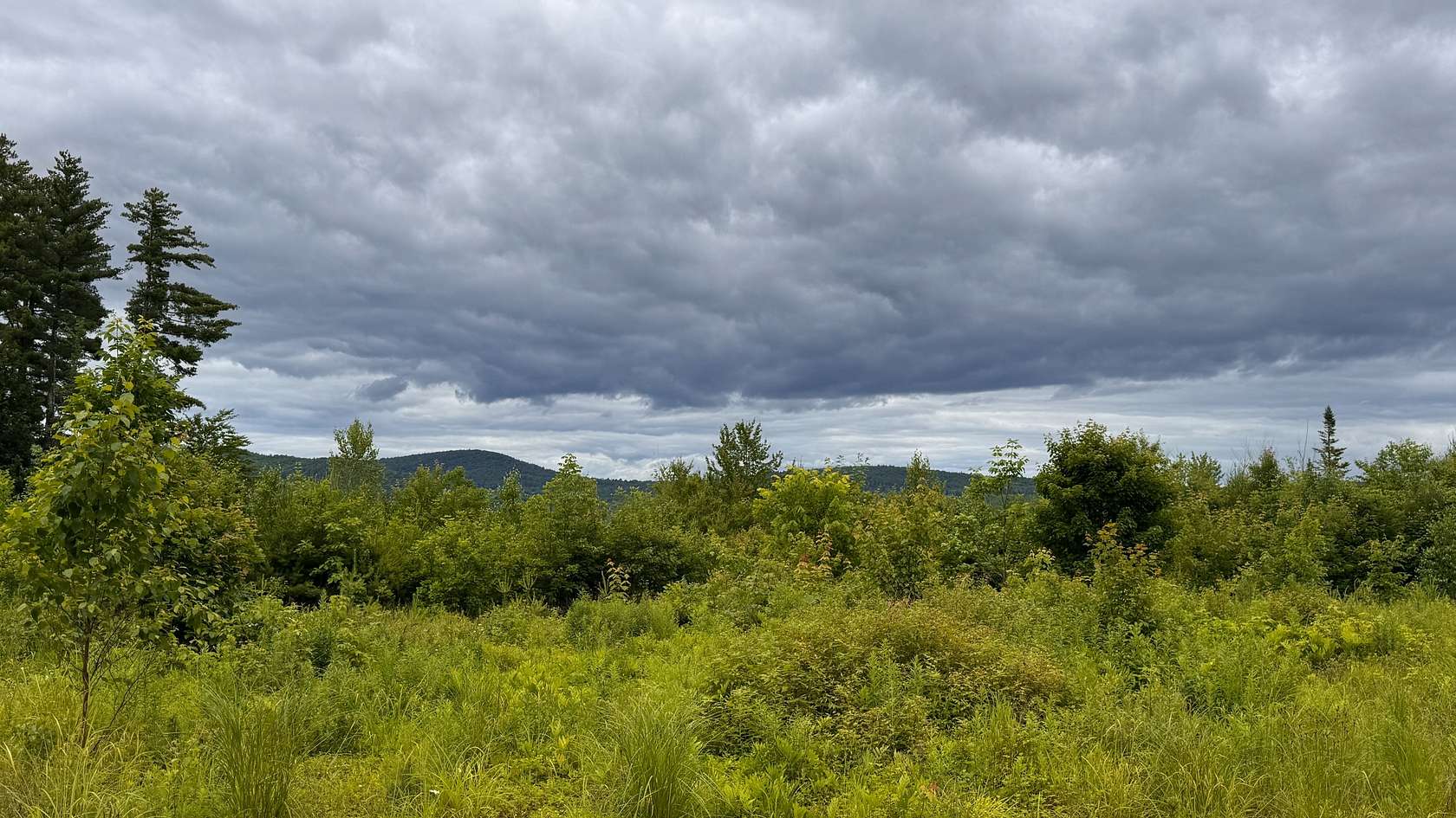 48.4 Acres of Land for Sale in Sweden, Maine