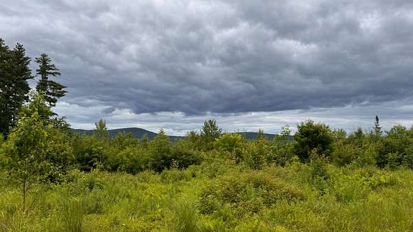 48.4 Acres of Land for Sale in Sweden, Maine