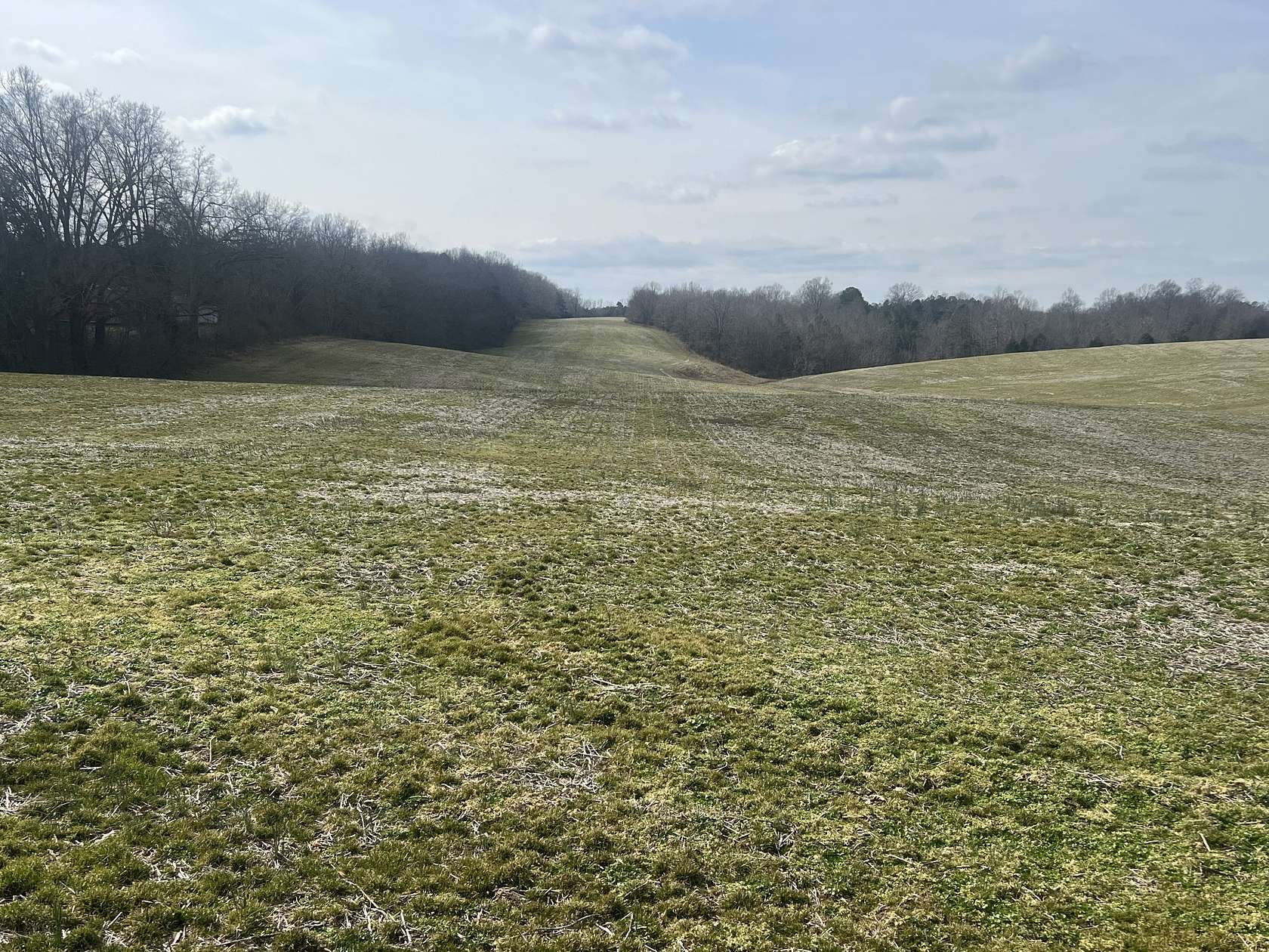 59.3 Acres of Land for Sale in Smithville, Tennessee