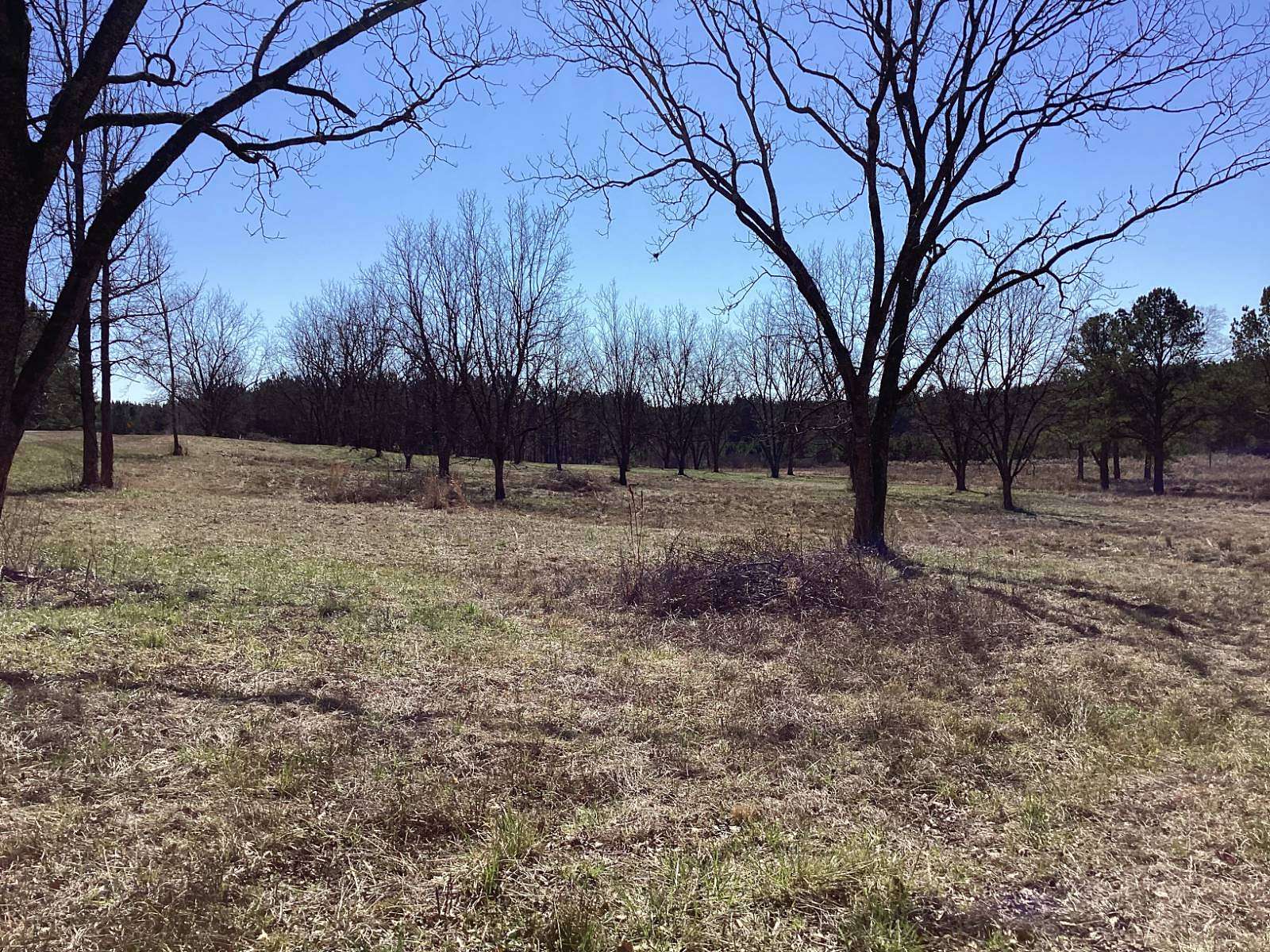 11.5 Acres of Land for Sale in Union, Mississippi