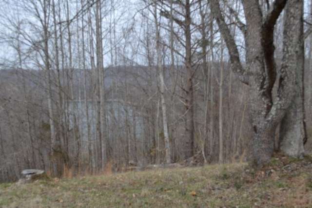 1 Acre of Residential Land for Sale in Baxter, Tennessee