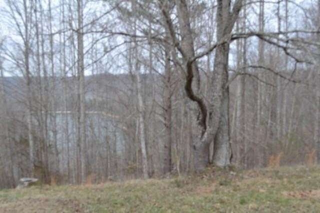 1 Acre of Residential Land for Sale in Baxter, Tennessee