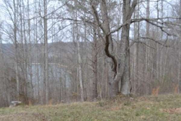 1 Acre of Residential Land for Sale in Baxter, Tennessee