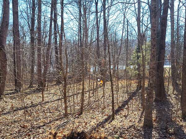 140 Acres of Recreational Land for Sale in Holladay, Tennessee