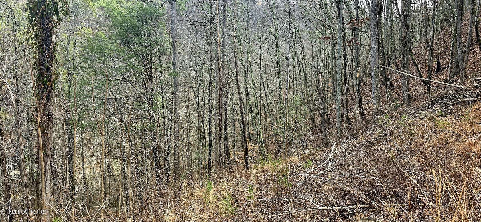 0.35 Acres of Residential Land for Sale in Sevierville, Tennessee
