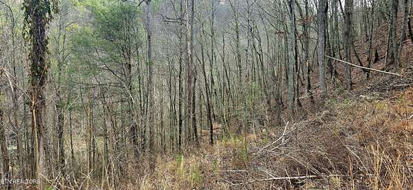0.35 Acres of Residential Land for Sale in Sevierville, Tennessee