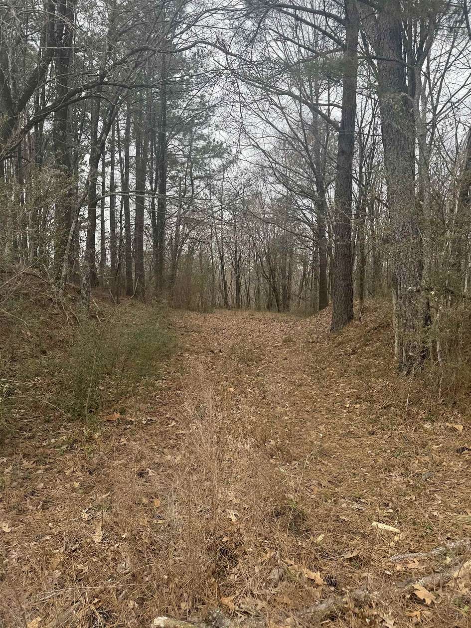 25 Acres of Land for Sale in Williston, Tennessee