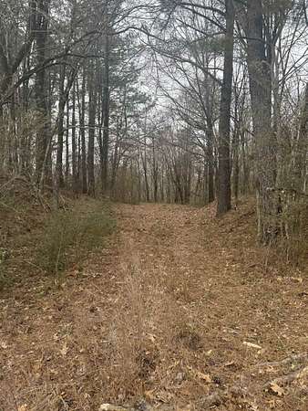 25 Acres of Land for Sale in Williston, Tennessee
