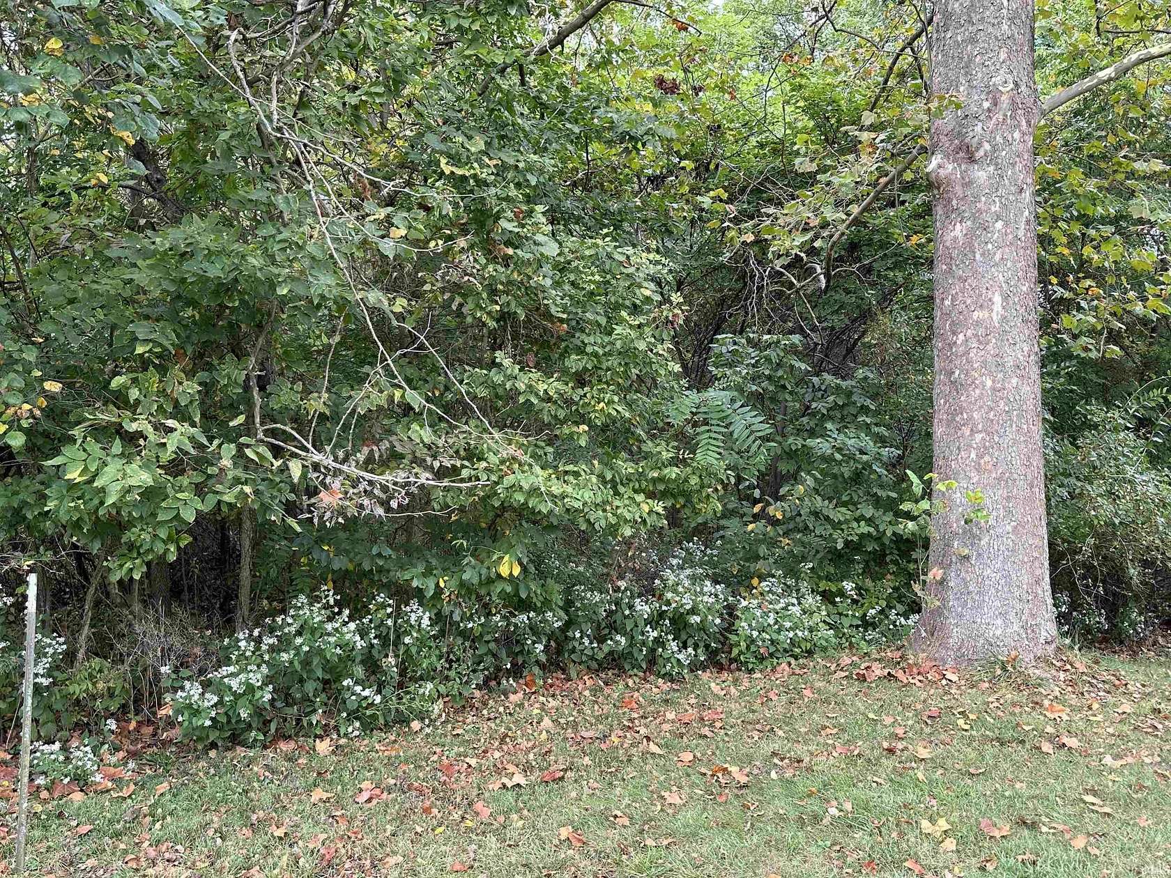 2.18 Acres of Residential Land for Sale in Bedford, Indiana